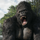 Illustration for article titled The New King Kong Movie Just Lost Two Major Actors